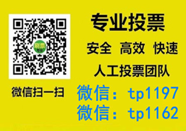 连江县微信手动投票费多少钱让我告诉你微信投了多少